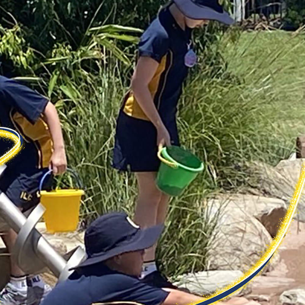 Eco Education Facilities - ILC Sunshine Coasts "Simulated River System" for Science and Eco Education